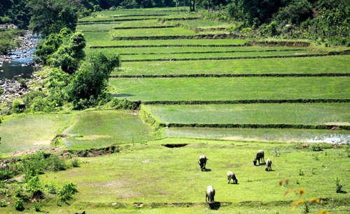 Đổi thay ở xã nông thôn mới Sơn Tinh ảnh 1